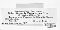 Septoria posoniensis image